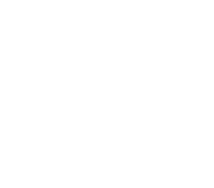 The Bailey Thomas Charitable Trust
